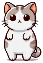A cat
